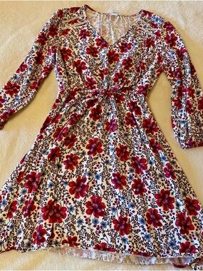 Old Navy Cream Dress with Red Floral Print - Long Sleeve